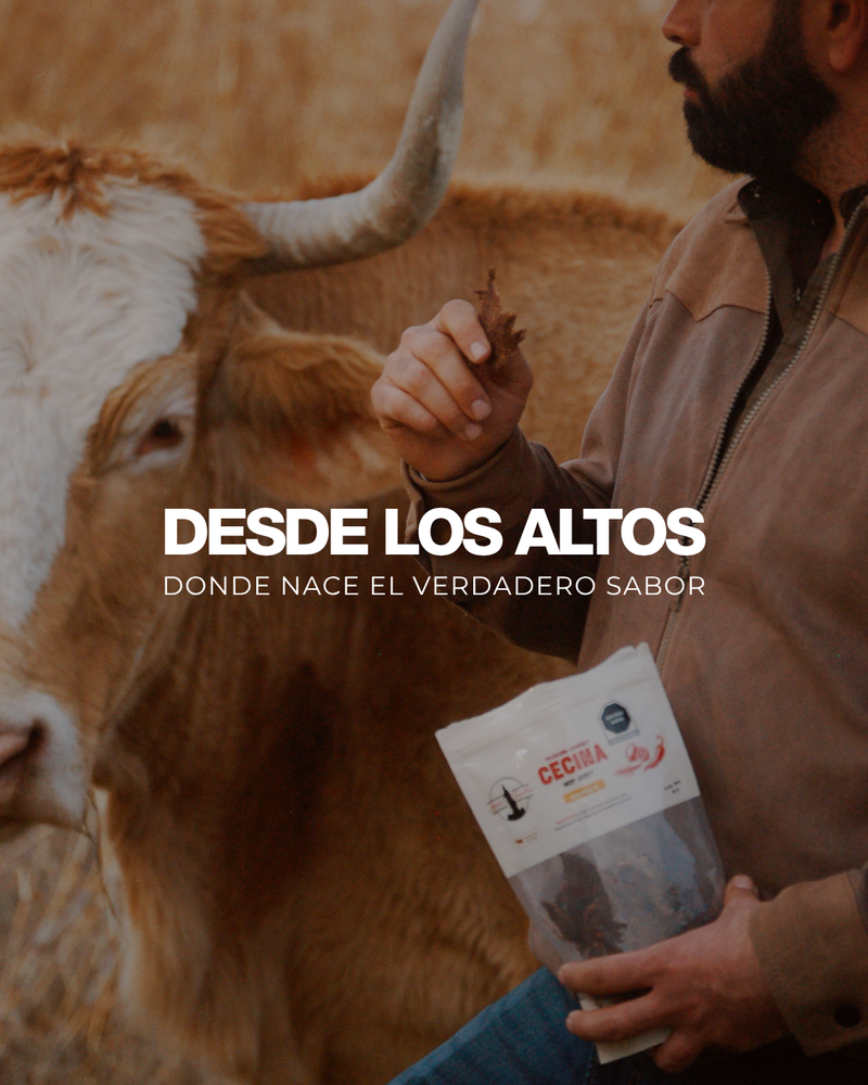 Boca Tapatía | Carne Seca Artesanal | Beef Jerky Alta en Proteína ...
